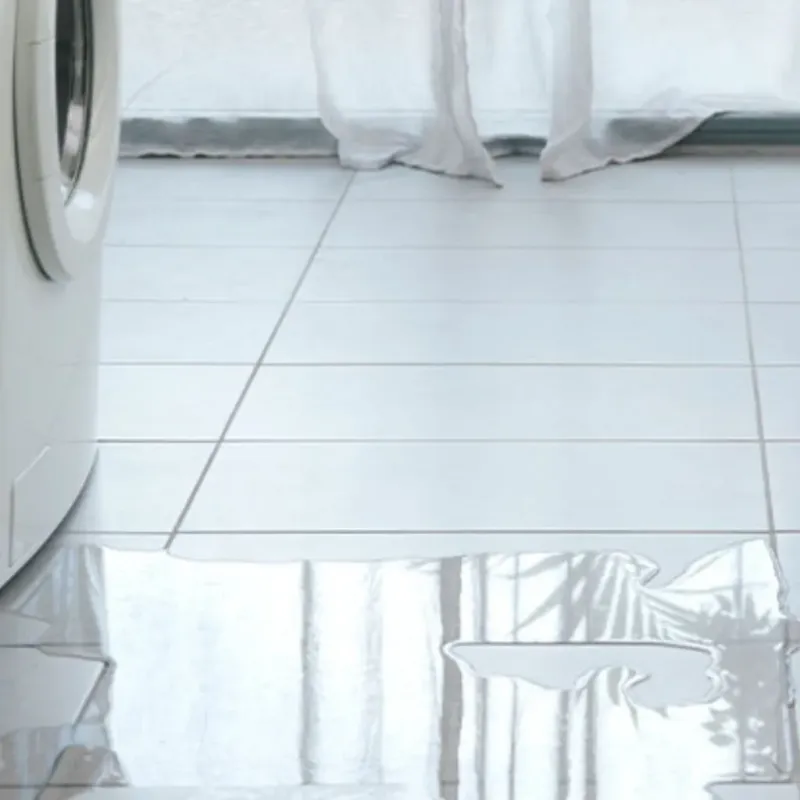 Appliance Leak Cleanup in Beechwood, MI
