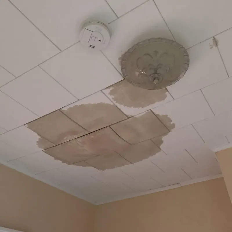 Ceiling Water Damage Repair in Beechwood, MI