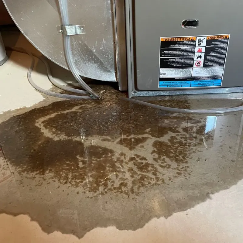 Pipe Burst and Leak Restoration in Beechwood, MI
