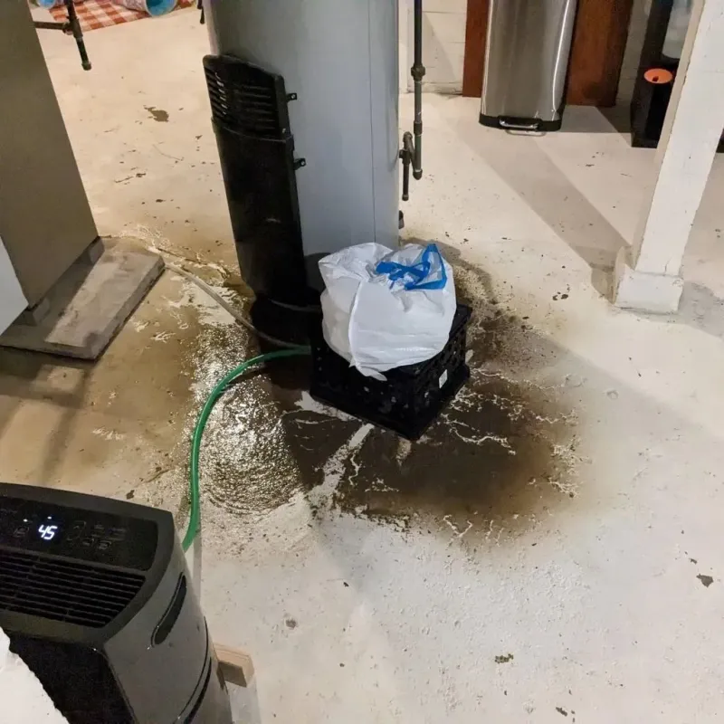 Sewage Backup Cleanup Service in Beechwood, MI